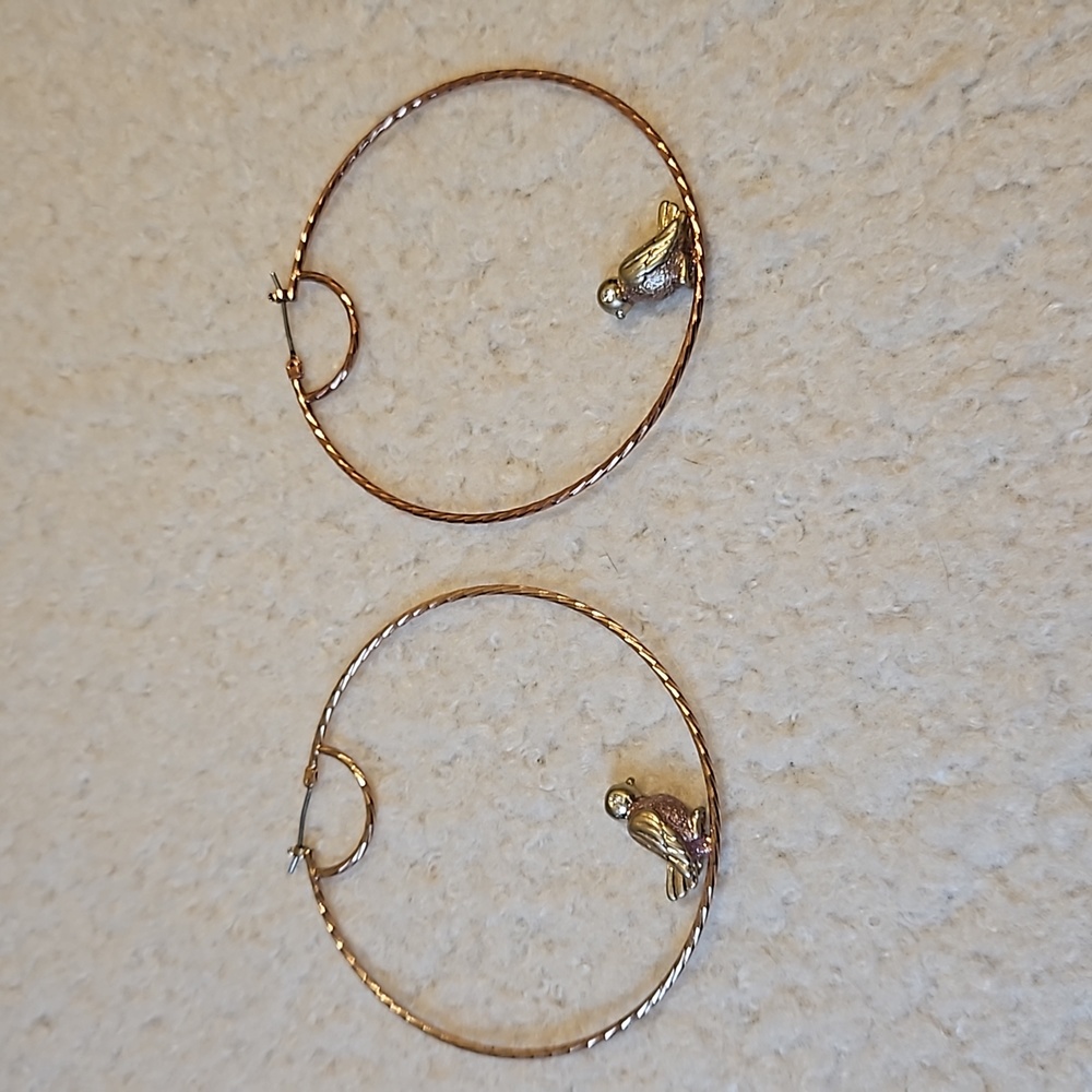 Rachel Roy Hoop Earrings